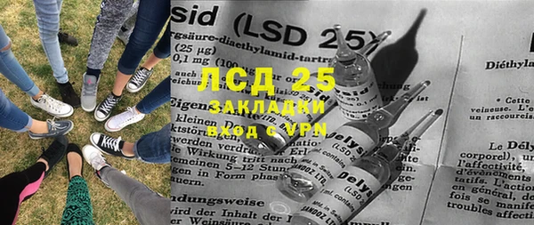 ПСИЛОЦИБИНОВЫЕ ГРИБЫ Алзамай