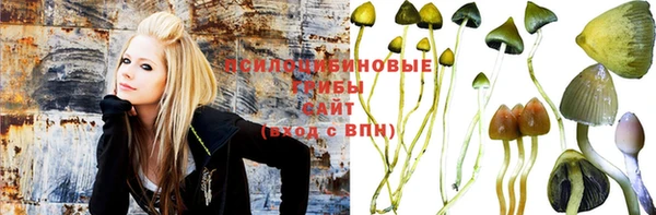 мескалин Алексин