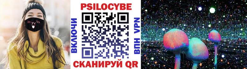 Галлюциногенные грибы Cubensis  Брянск 